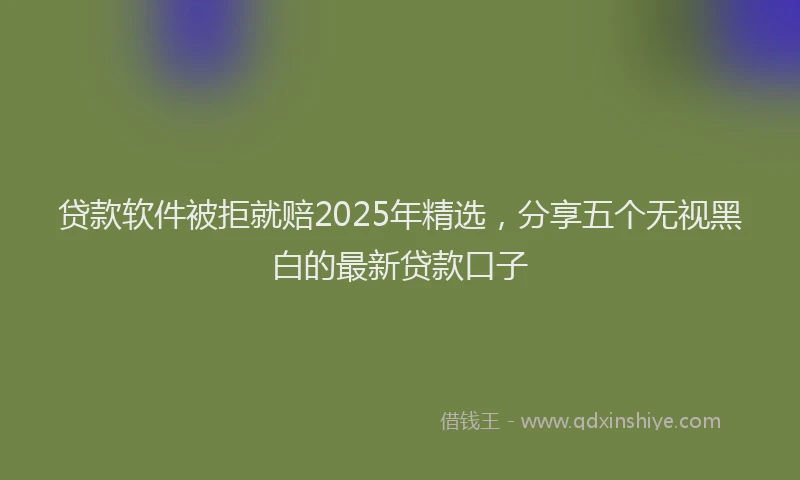 贷款软件被拒就赔2025年精选，分享五个无视黑白的最新贷款口子