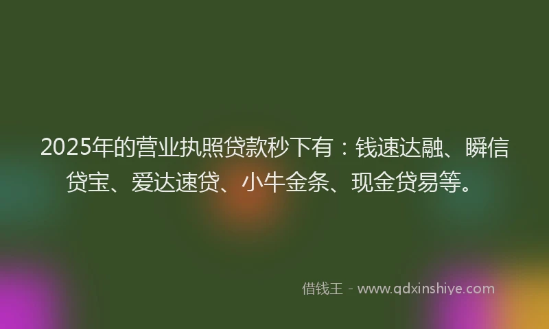 2025年的营业执照贷款秒下有：钱速达融、瞬信贷宝、爱达速贷、小牛金条、现金贷易等。