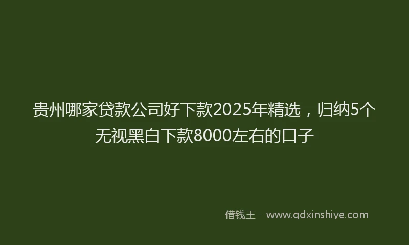 贵州哪家贷款公司好下款2025年精选，归纳5个无视黑白下款8000左右的口子