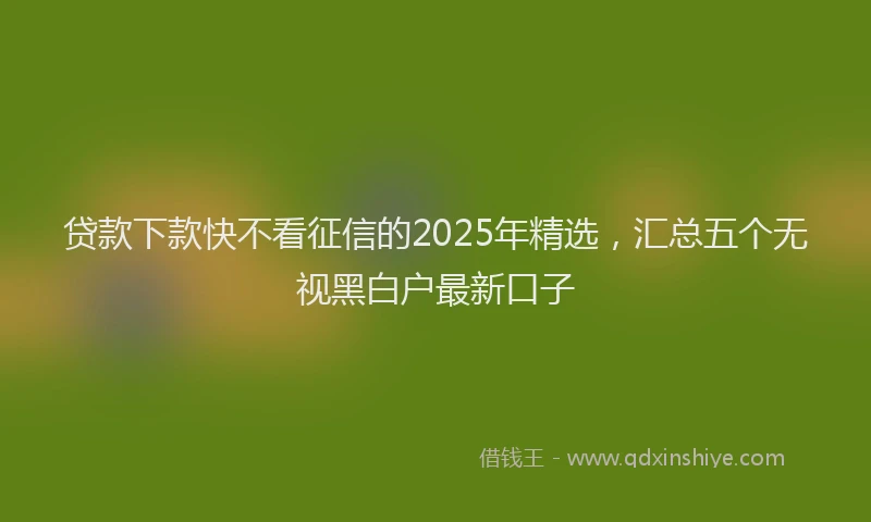 贷款下款快不看征信的2025年精选，汇总五个无视黑白户最新口子