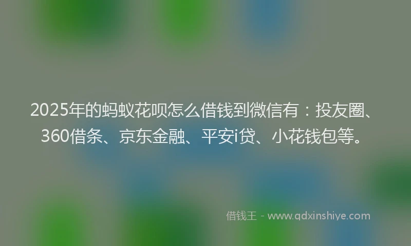 2025年的蚂蚁花呗怎么借钱到微信有：投友圈、360借条、京东金融、平安i贷、小花钱包等。