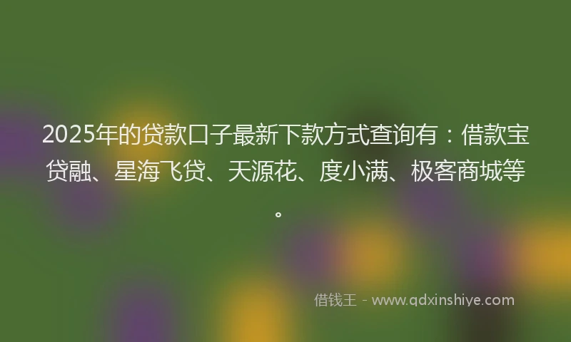 2025年的贷款口子最新下款方式查询有：借款宝贷融、星海飞贷、天源花、度小满、极客商城等。