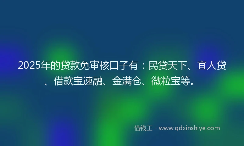 2025年的贷款免审核口子有：民贷天下、宜人贷、借款宝速融、金满仓、微粒宝等。