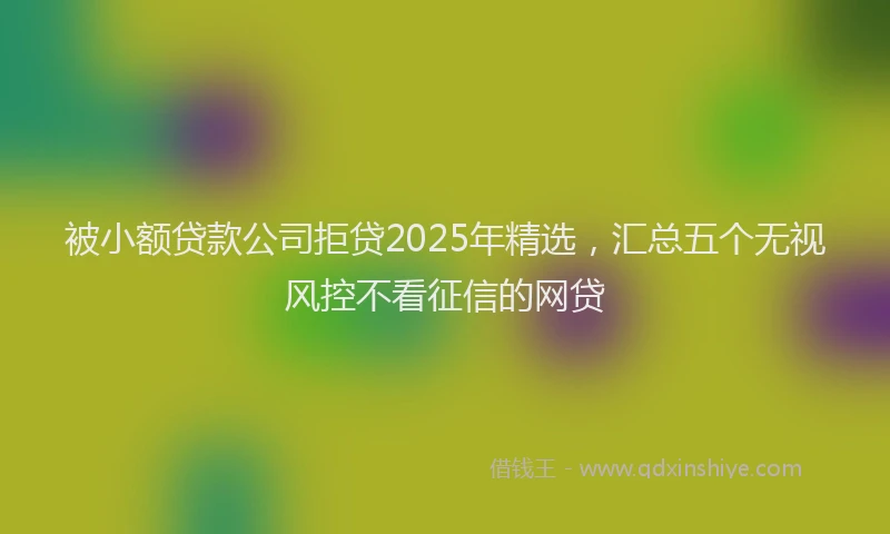 被小额贷款公司拒贷2025年精选，汇总五个无视风控不看征信的网贷