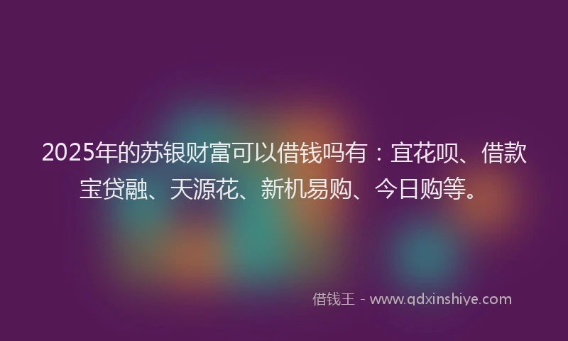 2025年的苏银财富可以借钱吗有：宜花呗、借款宝贷融、天源花、新机易购、今日购等。
