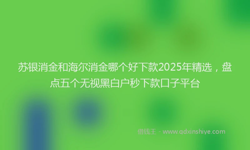 苏银消金和海尔消金哪个好下款2025年精选，盘点五个无视黑白户秒下款口子平台