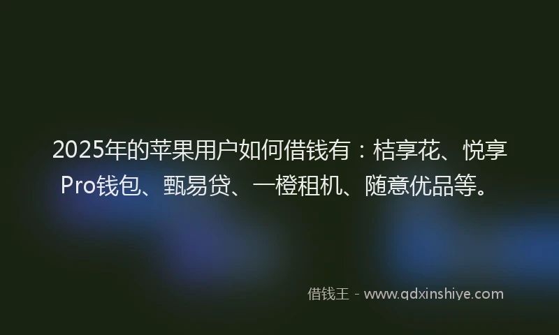 2025年的苹果用户如何借钱有：桔享花、悦享Pro钱包、甄易贷、一橙租机、随意优品等。