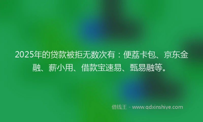 2025年的贷款被拒无数次有：便荔卡包、京东金融、薪小用、借款宝速易、甄易融等。