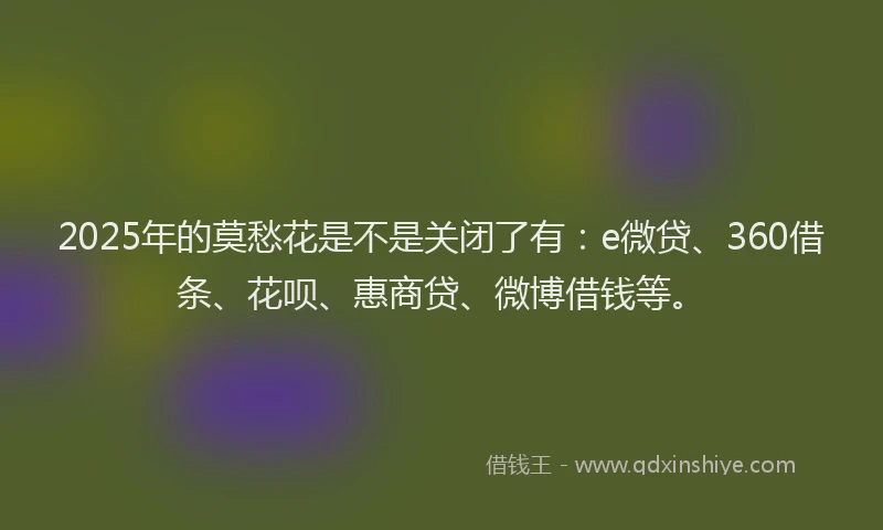 2025年的莫愁花是不是关闭了有：e微贷、360借条、花呗、惠商贷、微博借钱等。