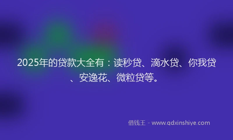2025年的贷款大全有：读秒贷、滴水贷、你我贷、安逸花、微粒贷等。