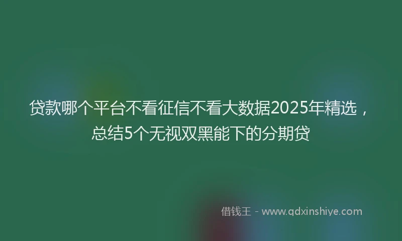 贷款哪个平台不看征信不看大数据2025年精选，总结5个无视双黑能下的分期贷