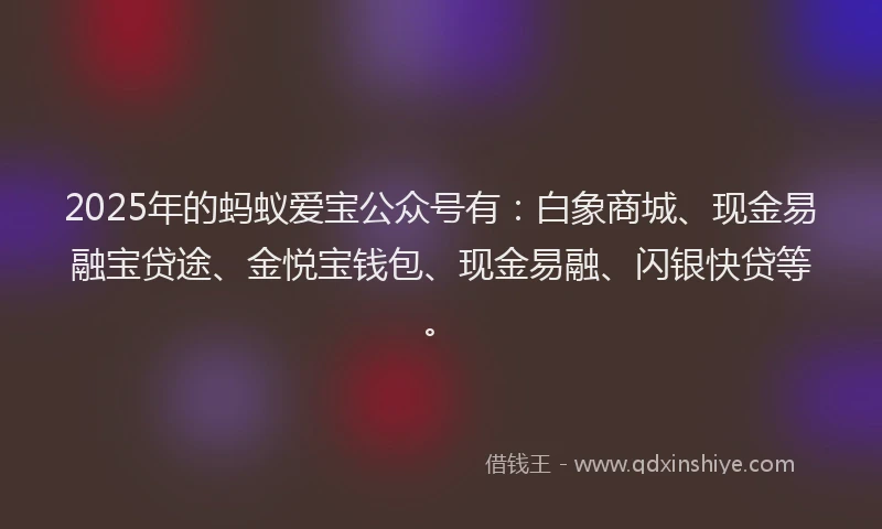 2025年的蚂蚁爱宝公众号有：白象商城、现金易融宝贷途、金悦宝钱包、现金易融、闪银快贷等。
