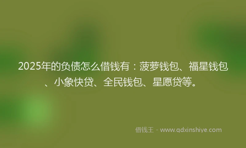 2025年的负债怎么借钱有：菠萝钱包、福星钱包、小象快贷、全民钱包、星愿贷等。