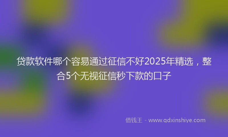 贷款软件哪个容易通过征信不好2025年精选，整合5个无视征信秒下款的口子