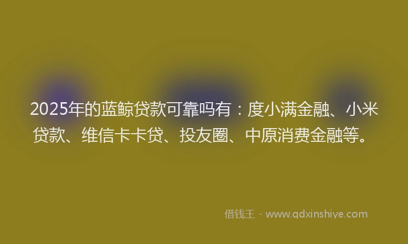 2025年的蓝鲸贷款可靠吗有：度小满金融、小米贷款、维信卡卡贷、投友圈、中原消费金融等。
