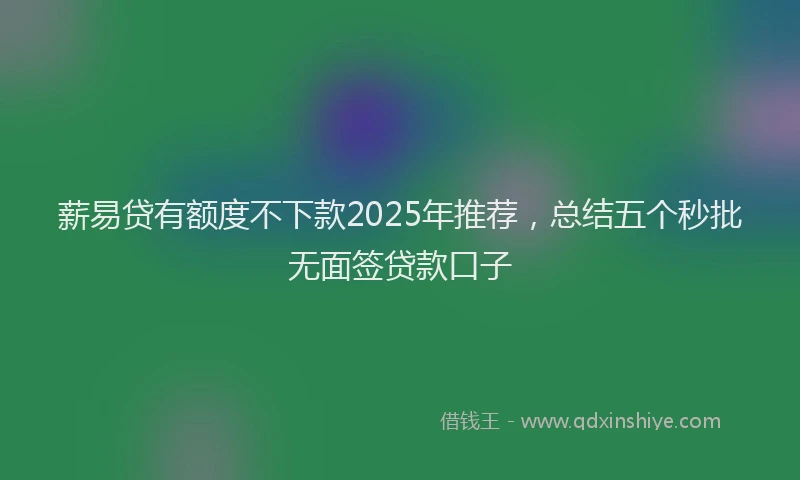 薪易贷有额度不下款2025年推荐，总结五个秒批无面签贷款口子