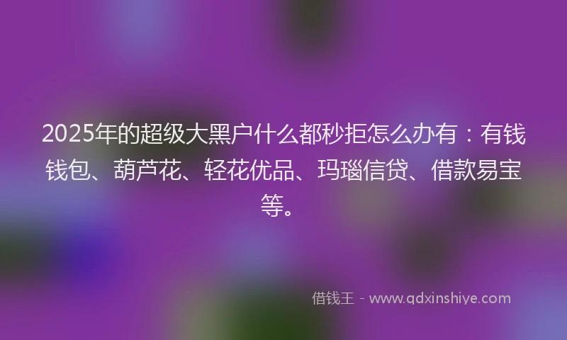 2025年的超级大黑户什么都秒拒怎么办有：有钱钱包、葫芦花、轻花优品、玛瑙信贷、借款易宝等。