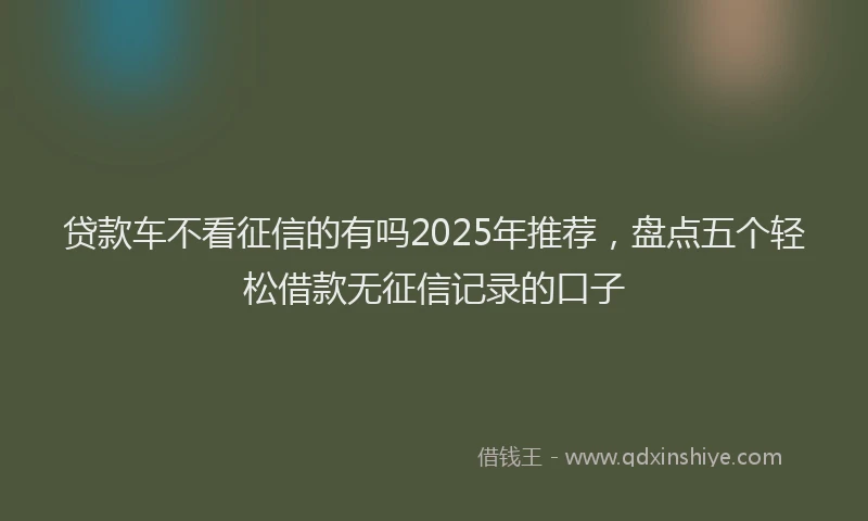 贷款车不看征信的有吗2025年推荐，盘点五个轻松借款无征信记录的口子
