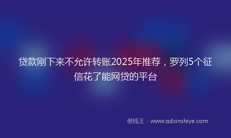贷款刚下来不允许转账2025年推荐，罗列5个征信花了能网贷的平台