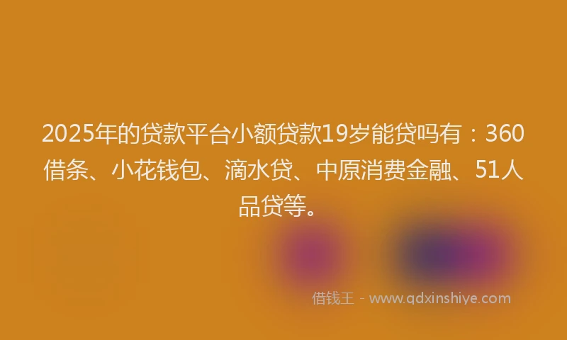 2025年的贷款平台小额贷款19岁能贷吗有：360借条、小花钱包、滴水贷、中原消费金融、51人品贷等。