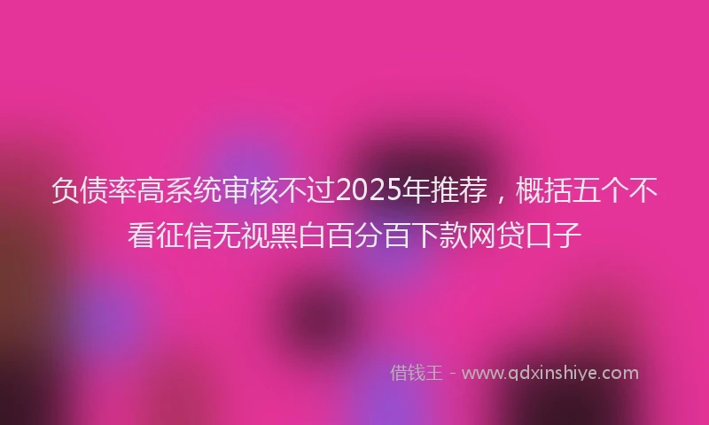 负债率高系统审核不过2025年推荐，概括五个不看征信无视黑白百分百下款网贷口子