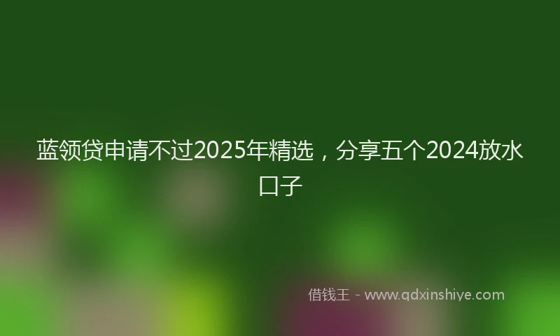 蓝领贷申请不过2025年精选，分享五个2024放水口子
