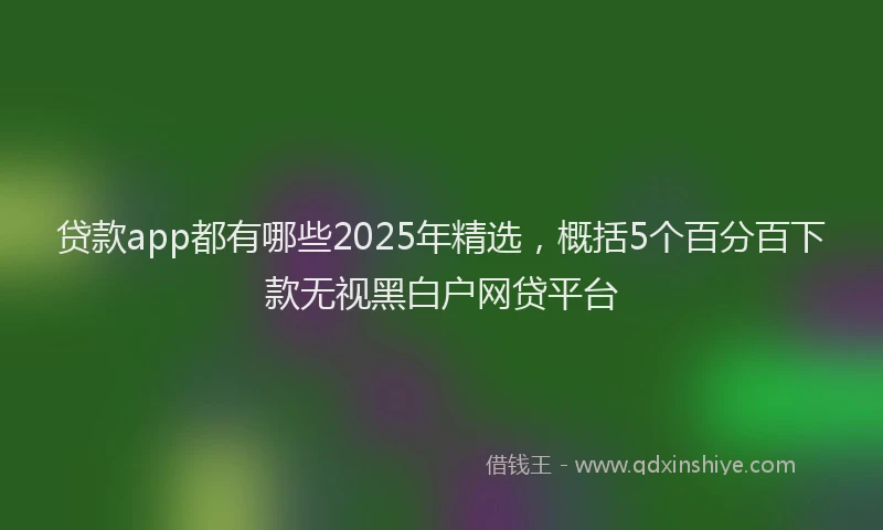 贷款app都有哪些2025年精选，概括5个百分百下款无视黑白户网贷平台