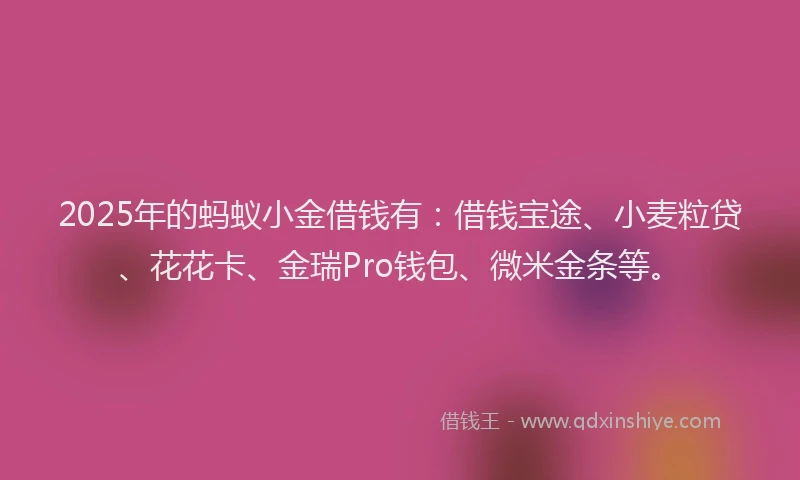 2025年的蚂蚁小金借钱有：借钱宝途、小麦粒贷、花花卡、金瑞Pro钱包、微米金条等。