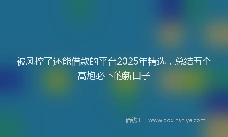 被风控了还能借款的平台2025年精选，总结五个高炮必下的新口子