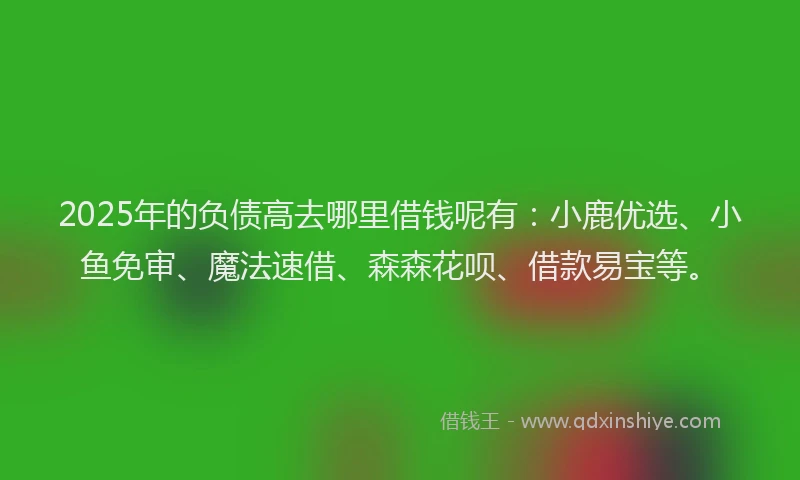 2025年的负债高去哪里借钱呢有：小鹿优选、小鱼免审、魔法速借、森森花呗、借款易宝等。
