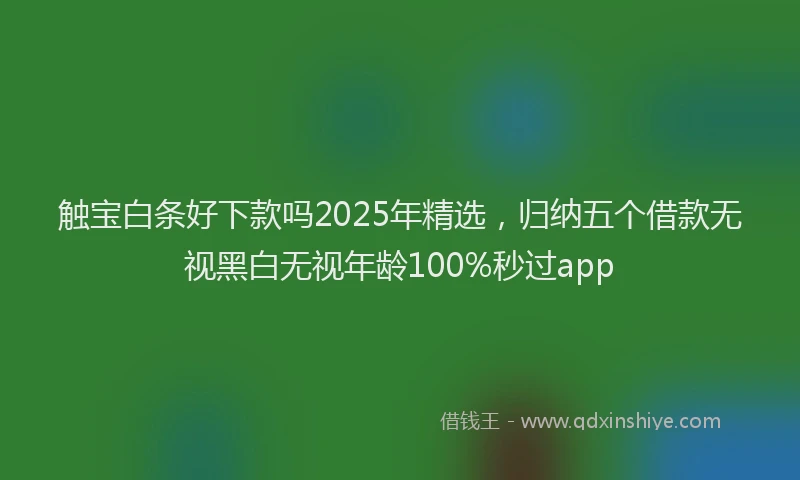 触宝白条好下款吗2025年精选，归纳五个借款无视黑白无视年龄100%秒过app