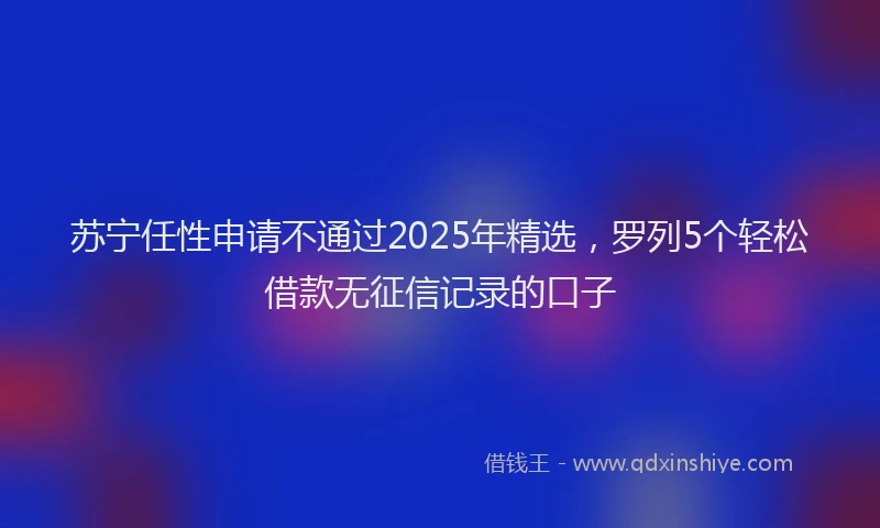 苏宁任性申请不通过2025年精选，罗列5个轻松借款无征信记录的口子