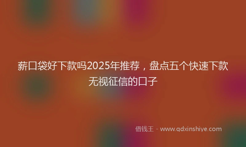 薪口袋好下款吗2025年推荐，盘点五个快速下款无视征信的口子