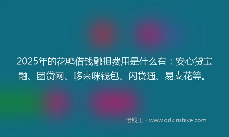 2025年的花鸭借钱融担费用是什么有：安心贷宝融、团贷网、哆来咪钱包、闪贷通、易支花等。