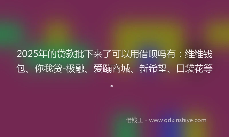 2025年的贷款批下来了可以用借呗吗有：维维钱包、你我贷-极融、爱蹦商城、新希望、口袋花等。