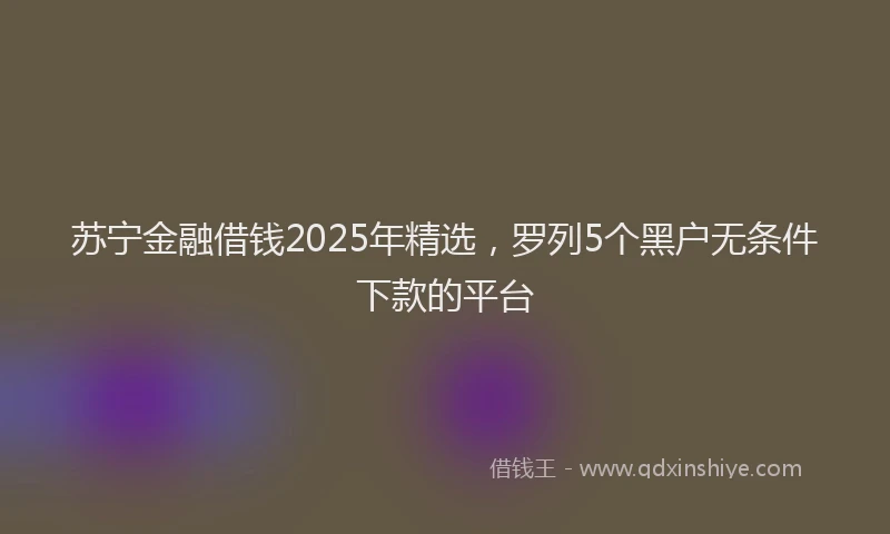 苏宁金融借钱2025年精选，罗列5个黑户无条件下款的平台
