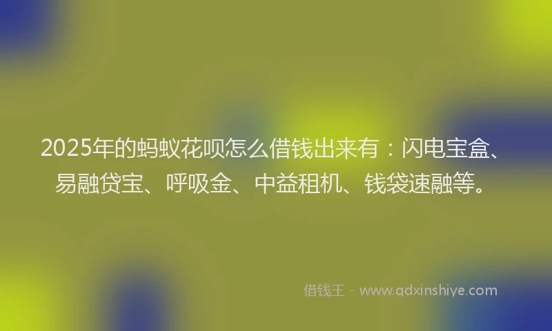 2025年的蚂蚁花呗怎么借钱出来有：闪电宝盒、易融贷宝、呼吸金、中益租机、钱袋速融等。