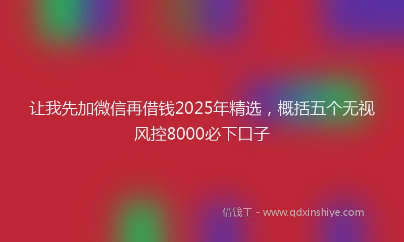 让我先加微信再借钱2025年精选，概括五个无视风控8000必下口子