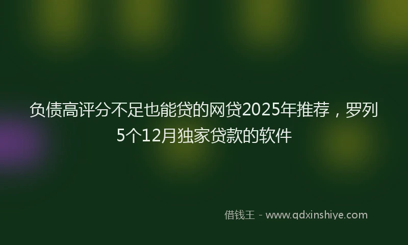 负债高评分不足也能贷的网贷2025年推荐，罗列5个12月独家贷款的软件