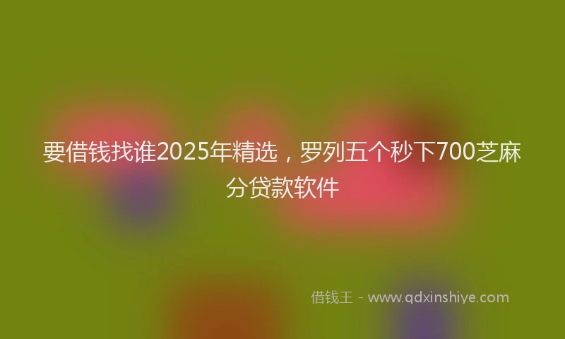 要借钱找谁2025年精选，罗列五个秒下700芝麻分贷款软件