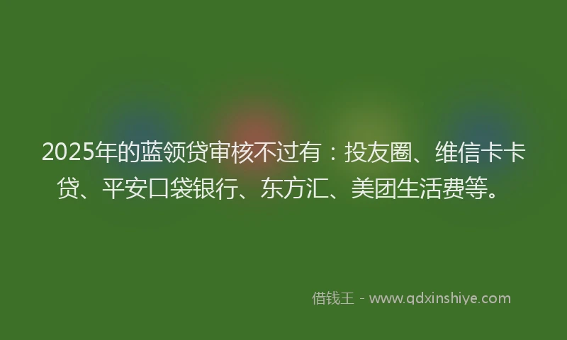 2025年的蓝领贷审核不过有：投友圈、维信卡卡贷、平安口袋银行、东方汇、美团生活费等。