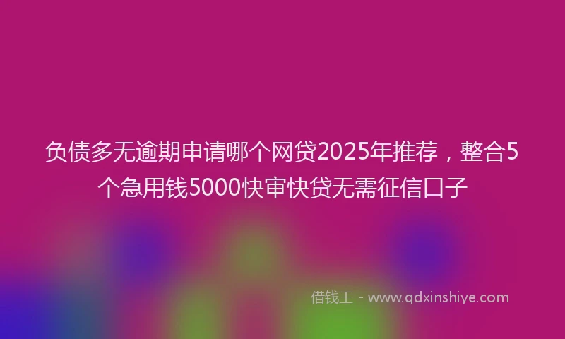 负债多无逾期申请哪个网贷2025年推荐，整合5个急用钱5000快审快贷无需征信口子