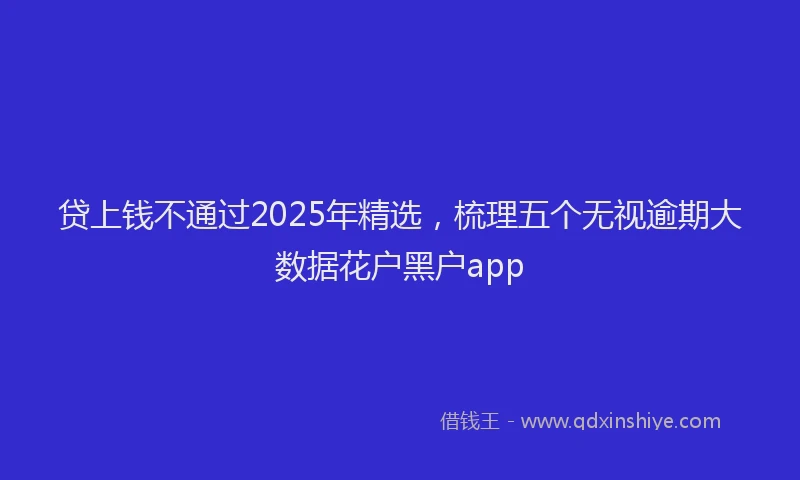 贷上钱不通过2025年精选，梳理五个无视逾期大数据花户黑户app