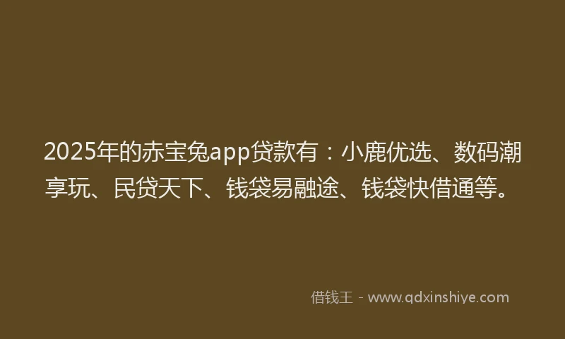 2025年的赤宝兔app贷款有：小鹿优选、数码潮享玩、民贷天下、钱袋易融途、钱袋快借通等。