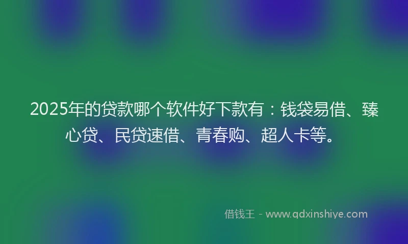 2025年的贷款哪个软件好下款有：钱袋易借、臻心贷、民贷速借、青春购、超人卡等。