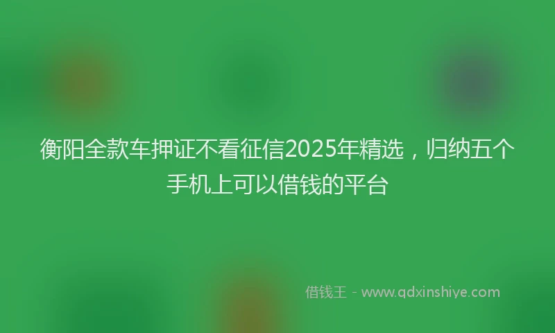 衡阳全款车押证不看征信2025年精选，归纳五个手机上可以借钱的平台