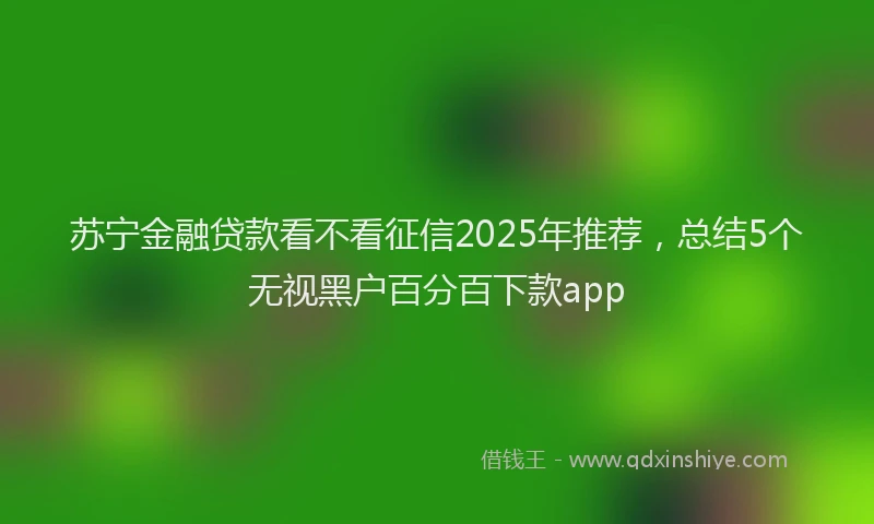 苏宁金融贷款看不看征信2025年推荐，总结5个无视黑户百分百下款app