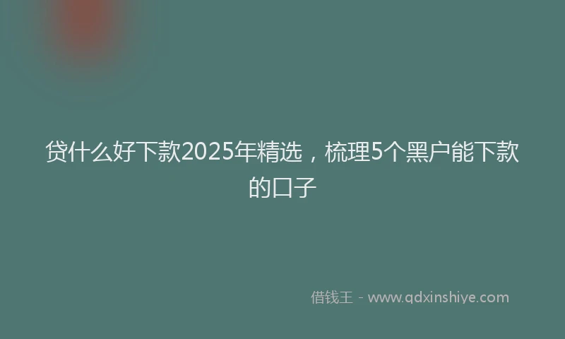 贷什么好下款2025年精选，梳理5个黑户能下款的口子