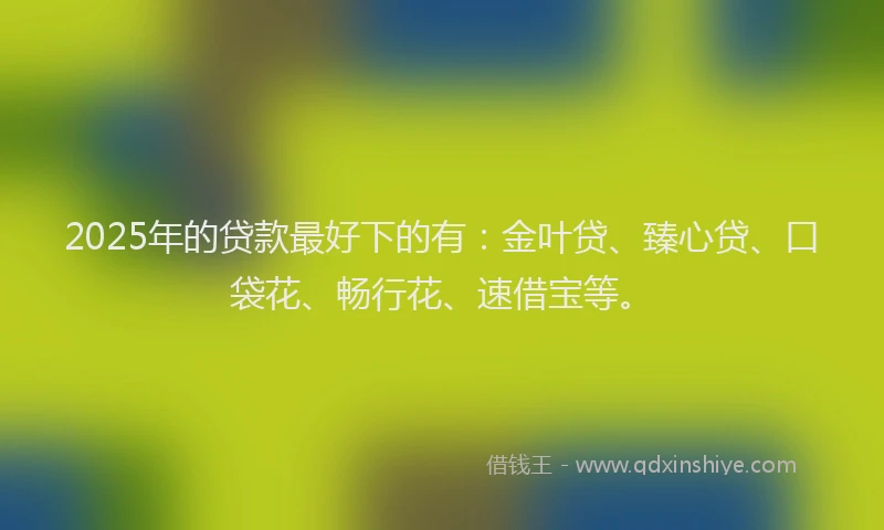 2025年的贷款最好下的有：金叶贷、臻心贷、口袋花、畅行花、速借宝等。