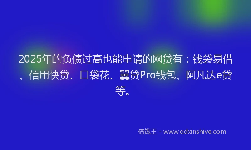 2025年的负债过高也能申请的网贷有：钱袋易借、信用快贷、口袋花、翼贷Pro钱包、阿凡达e贷等。
